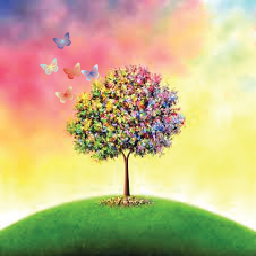 The butterfly effect thumbnail